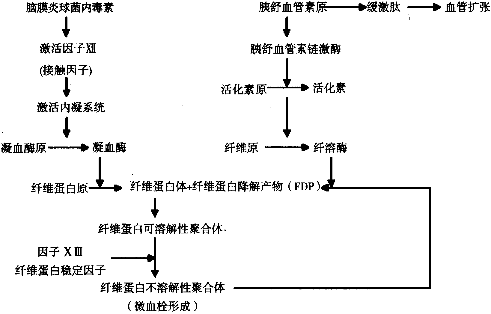 第17篇 流行性腦脊髓膜炎(epidemic cerebrospinal meningitis，meningococcal meningitis)